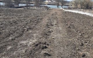 Teren la Lac intravilan construcții Corbeanca Ilfov - Poză 4