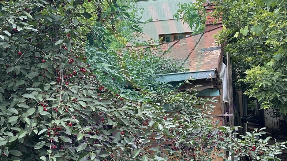 VILA cu potential de reamenajare- Teren 458 mp| - Poză 19