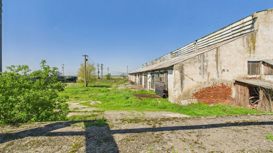 Spațiu industrial, rampă și acces la calea ferată - Poză 15