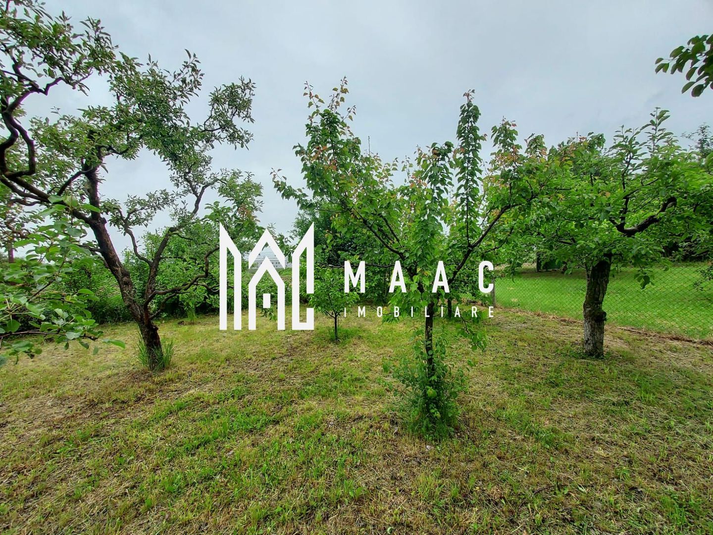 Casa | 1331 mp Teren | Miercurea Sibiului | - Poză 13