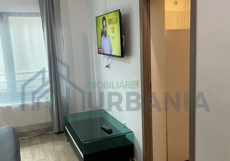 Apartament cu 1 cameră în Hlincea, Visan - parter, mobilat și utilat complet - Poză 3