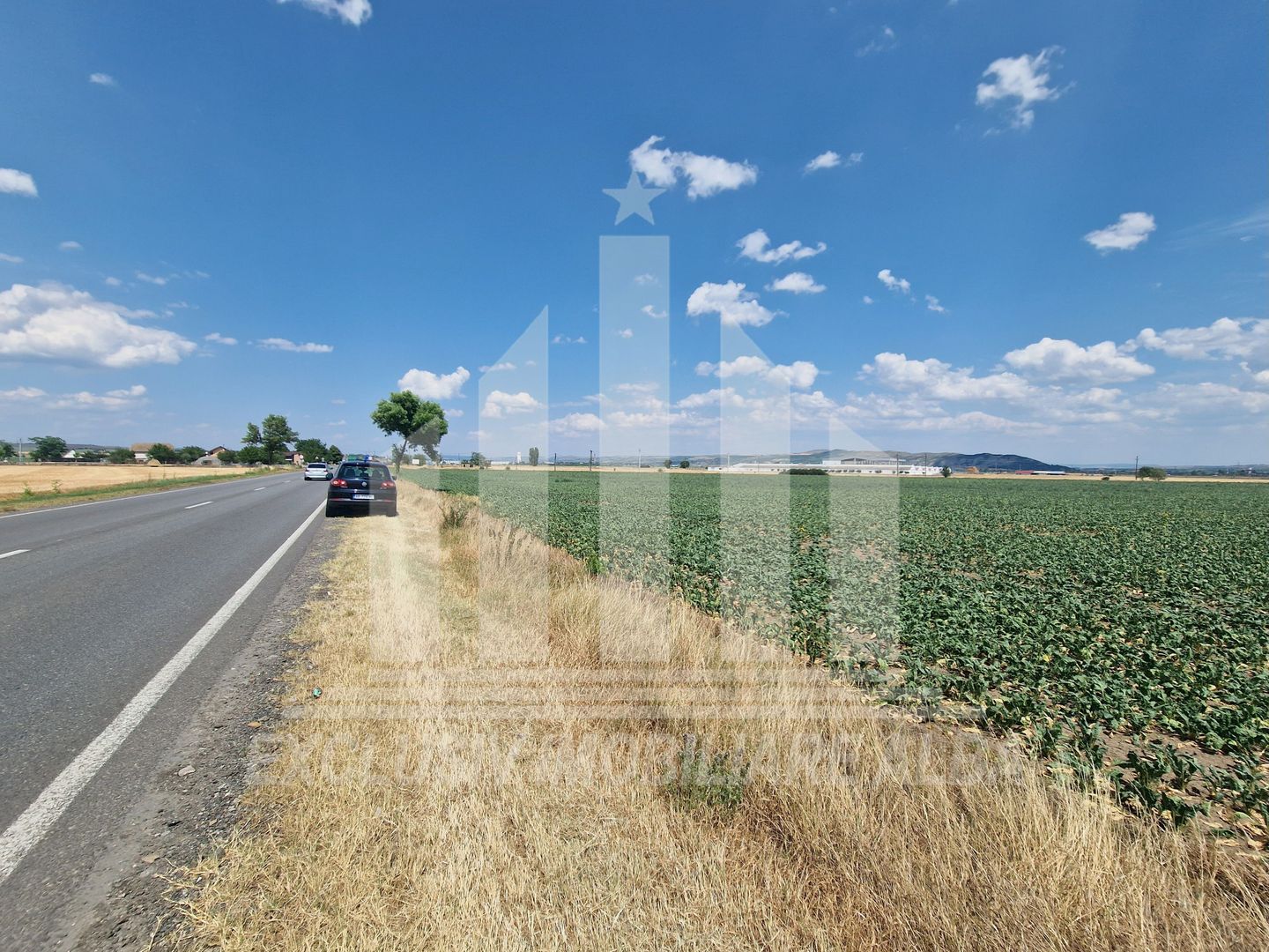 Teren agricol la sosea, pretabil si ptr constructii industriale - Poză 7