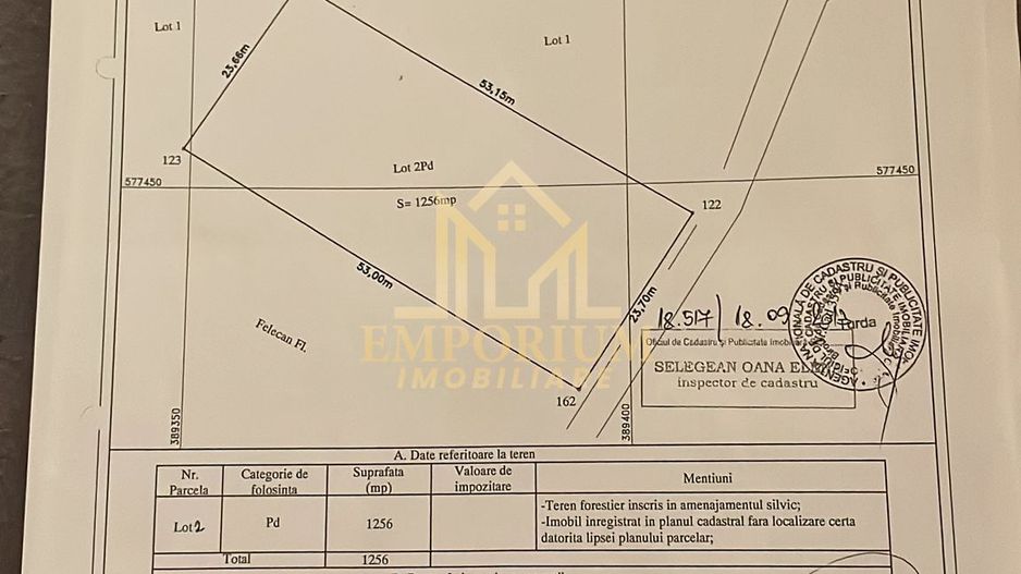 Teren Extravilan, Ciurila, Padurea Faget - Poză 7