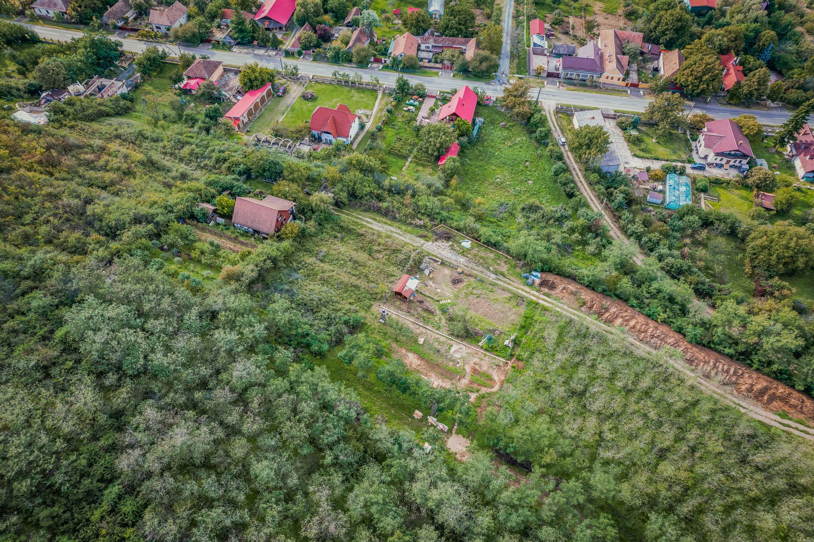 Teren de 1150 mp în Miniș - Poză 7