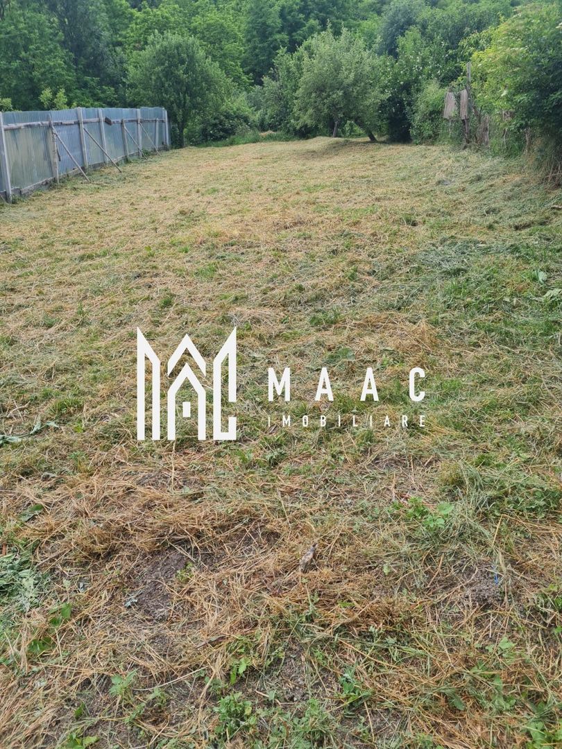 BLACK FRIDAY I Casa 3 camere I 1000 mp Teren I Amnas - Poză 6