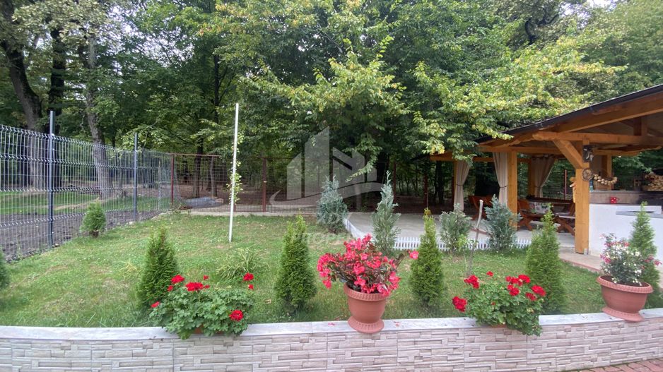 Vila  Frumoasa , Sibiu ,6 camere , 5 Bai , mobilata ,utilata - Poză 26