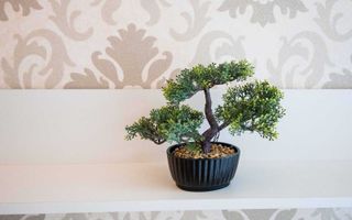 Apartament superb, 2 camere, Piața Unirii - Poză 6