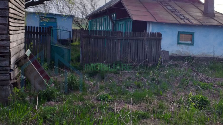 Teren intravilan si extravilan de vanzare in comuna Grajduri, satul Lunca - Poză 4