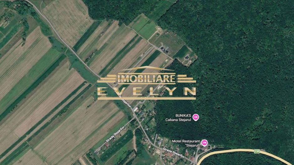 Teren intravilan 10.600 mp – Zona Restaurant Stejaru, Baisa - Poză 1