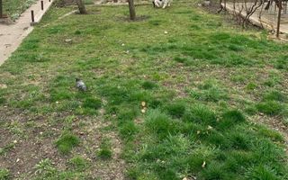 Oportunitate rară! Casă cu teren generos în zona Grand Hotel Italia - Poză 1