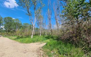 Teren de vanzare / Dem Radulescu - Poză 6