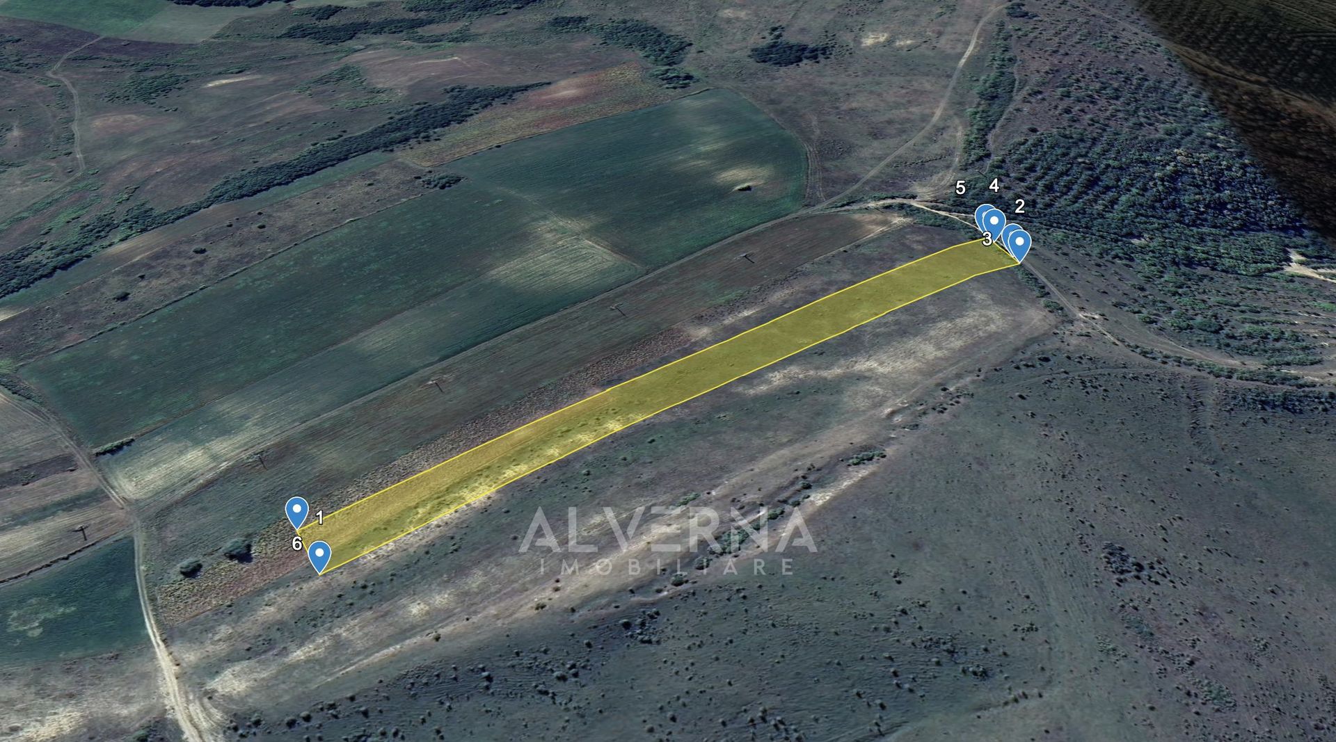 COMISION 0% - Teren extravilan 11.600mp - cadastrat - Gadalin / Jucu - Poză 1