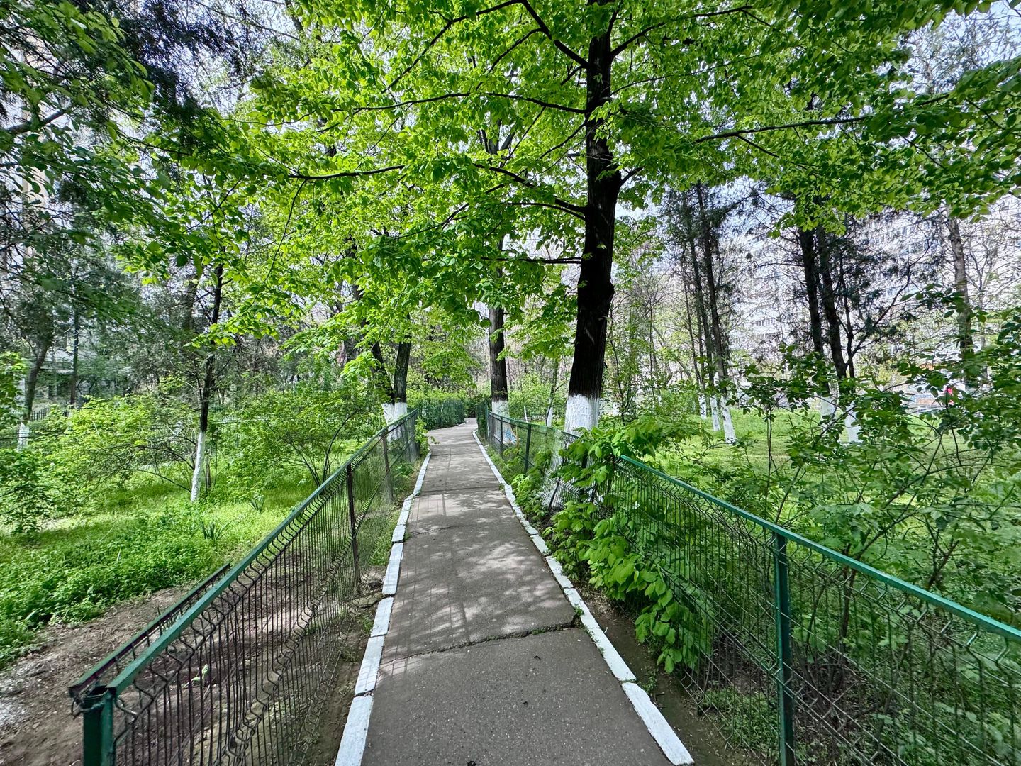 Apartament 2 camere Titan - Poză 11