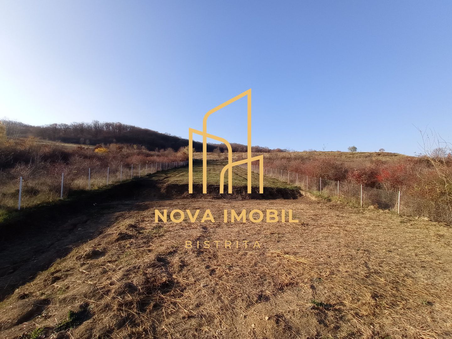 Teren Viisoara 27 ari - Poză 2