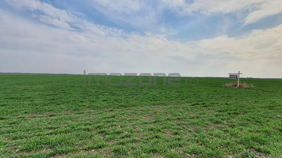 TEREN CU AUTORIZATIE DE CONSTRUIRE, 10.000 MP - 18 VILE, FRONT 90 ML - Poză 13