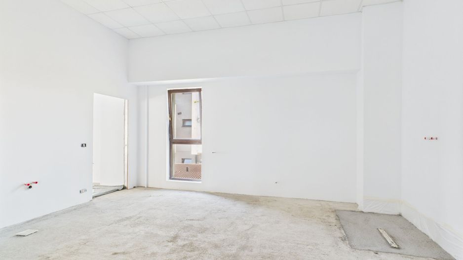 Spații Comerciale între 70 și 350 mp în Dumbrăvița - Poză 5