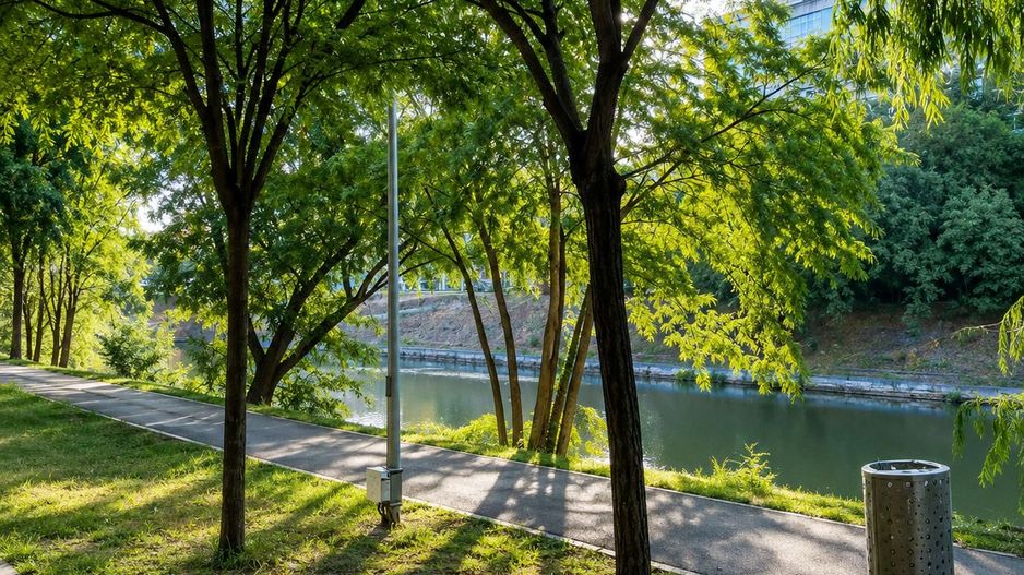 Apartament 2 camere de vânzare | 64 mp | Etaj 1 | Zona Iosefin - Poză 5