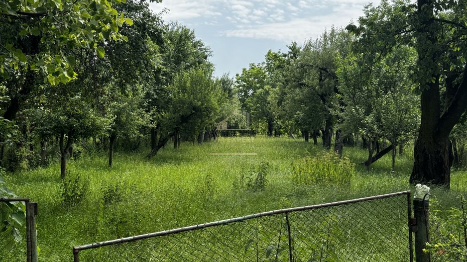 CASA 3 CAMERE, PLUS ANEXE, TEREN 2141 MP, BEREVOIESTI, ARGES - Poză 34