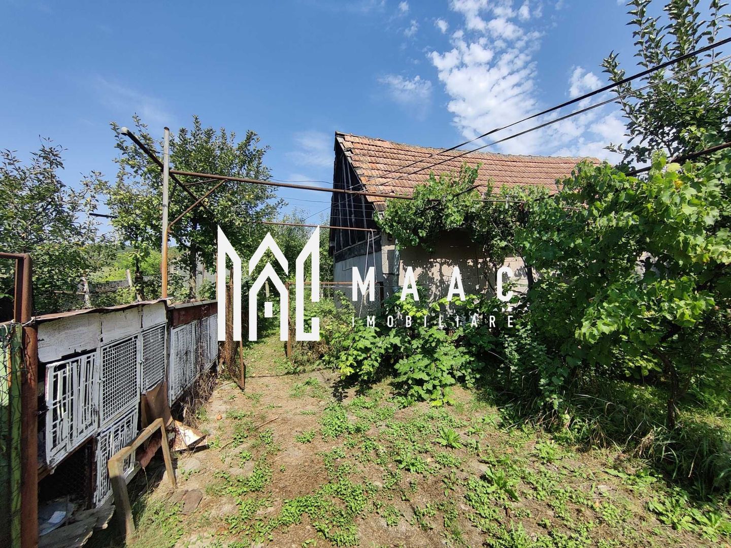 Casa 3 Camere | Teren 2500 mp | Rusi - Poză 2