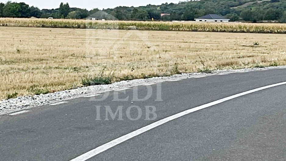 Teren intravilan de vanzare in Fughiu, Bihor - Poză 3