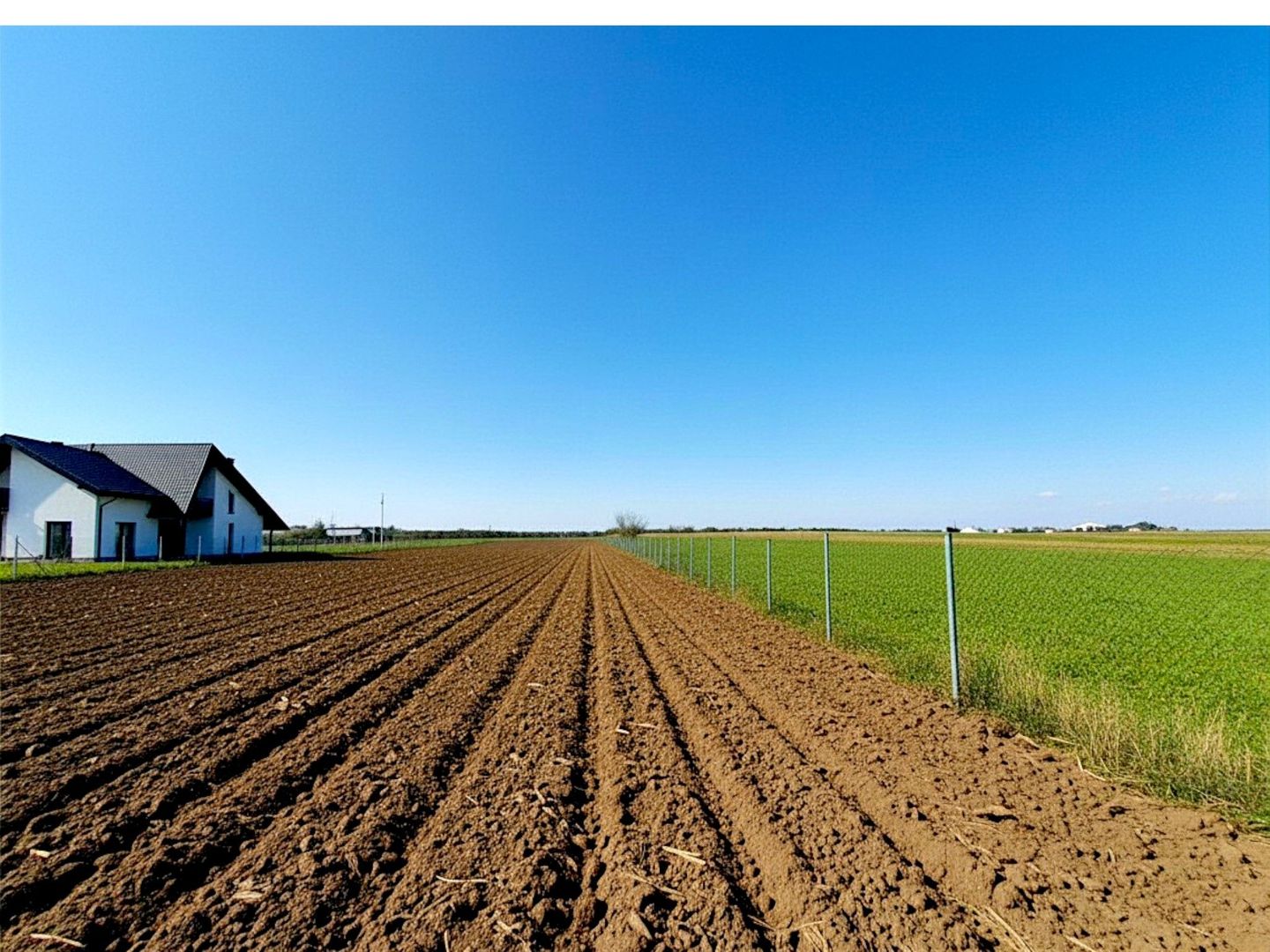 Teren de vânzare Șcheia | Sfantu Ilie | 3.361 mp - Poză 4