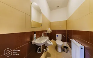 Proprietate pretabila pentru afacere, Cladova - Poză 12