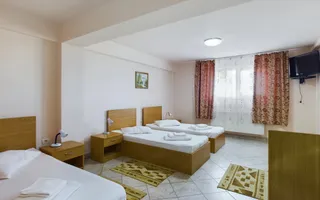 Pensiune in Arad (Vladimirescu) pe DN7 - Poză 15