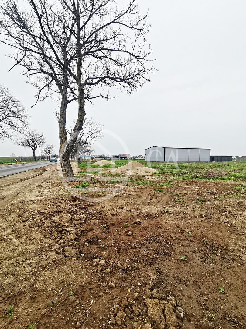 Teren intravilan de vanzare in Santandrei, Bihor - Poză 3