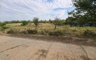Teren intravilan 2170 mp la drum asfaltat - Chicerea - Poză 1
