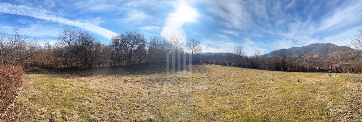 Teren intravilan 2.295 mp, deschidere 60 m – Rășinari, comision 0% - Poză 1