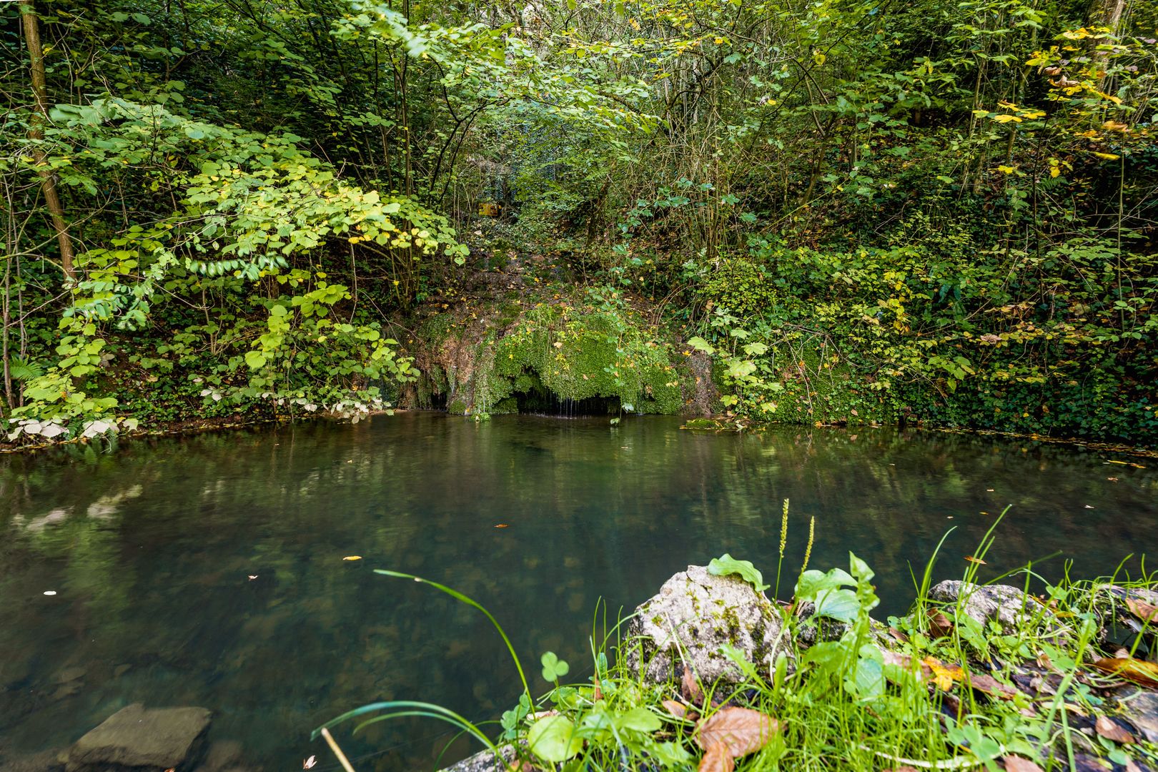Domeniu în satul Căprioara - Poză 17