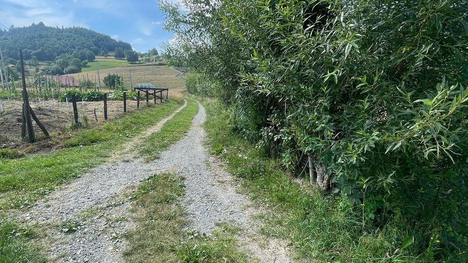 Teren intravilan I Loc deosebit, inconjurat de padure I Vladeasa - Poză 4