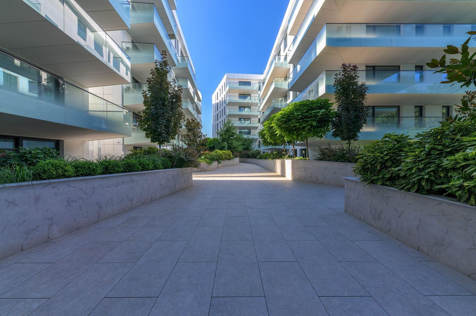 Pines Residence - Poză 3