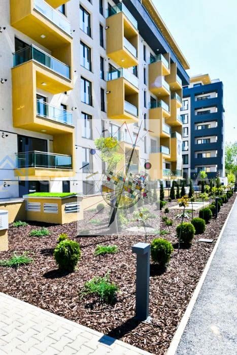 Aurel Vlaicos - Poză 1