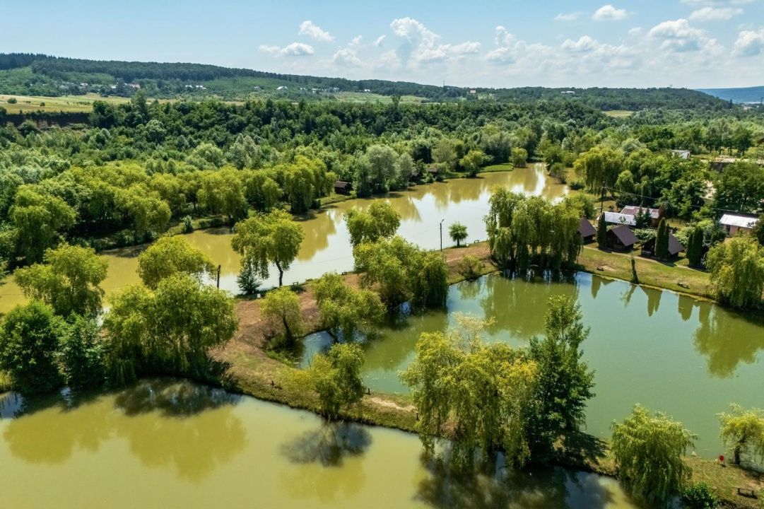 Afacere la cheie - domeniu cu lacuri de pescuit  - Sat Bunești, Com. Malureni - Poză 1