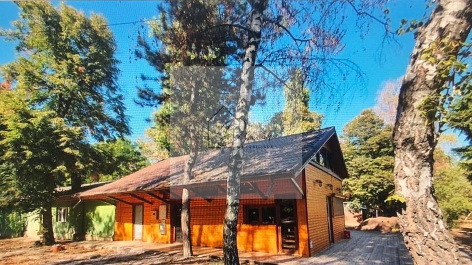 Spatiu Comercial Herăstrău I Piata Presei I COMISION 0% - Poză 1