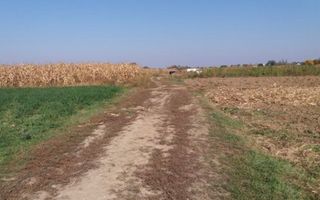 Investitie!Intravilan 55 ari capat Paulesti ( Intrare Ambud), 3.6 mf - Poză 6