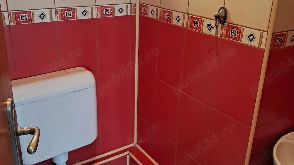 Spatiu comercial - Brâncoveanu - Poză 7