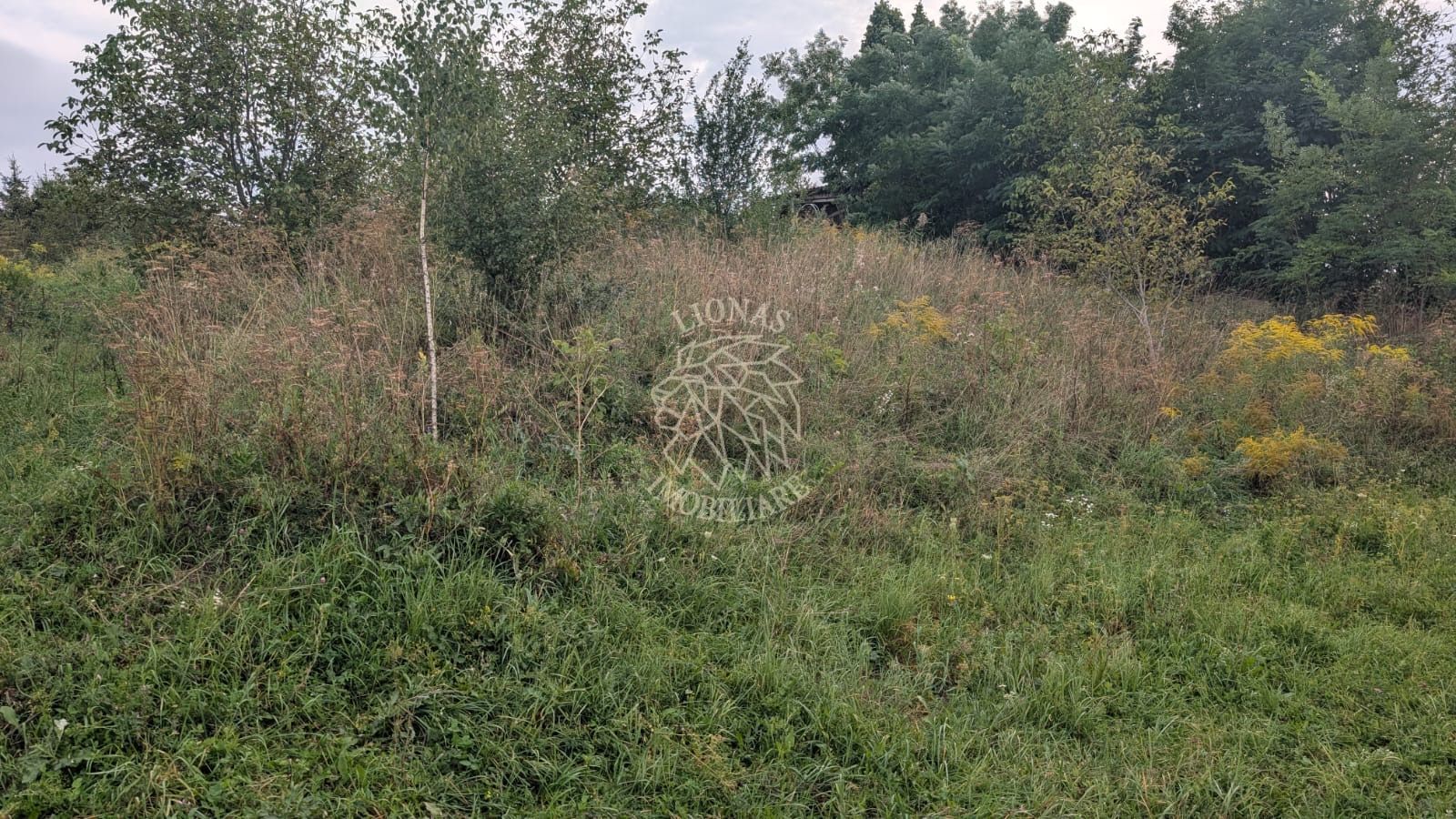 Teren intravilan 500 mp+cota drum -ideal casa P+2E-Zona Zavoaie - Poză 1