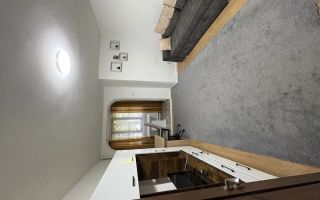 Apartament 1 cameră de închiriat, Tătărași, Str. Vasile Lupu - Poză 2