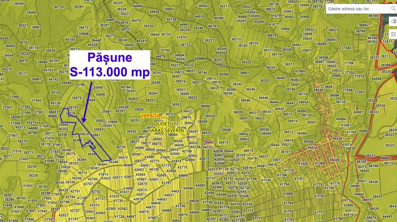 Pășune 11,3 ha – Vărădia, Caraș-Severin – 6.000 €/ha - Poză 2