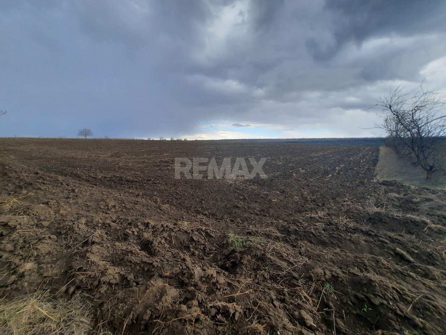 Teren agricol, Boșcana, 20 ari - Poză 3