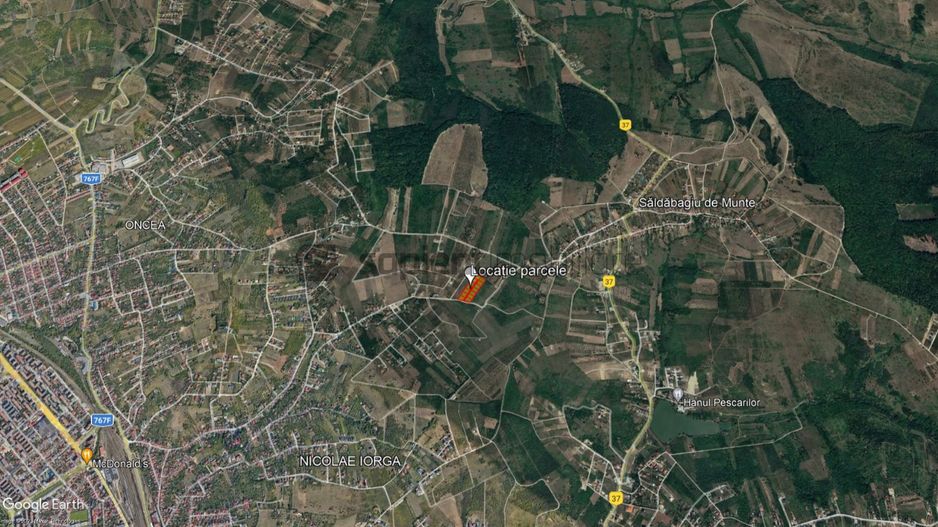 Teren Paleu - Poză 5