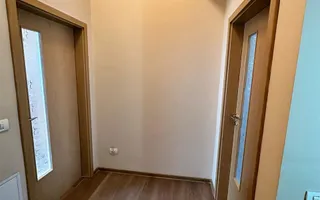 Sector 4 Nitu Vasile Casa Individala - Poză 23