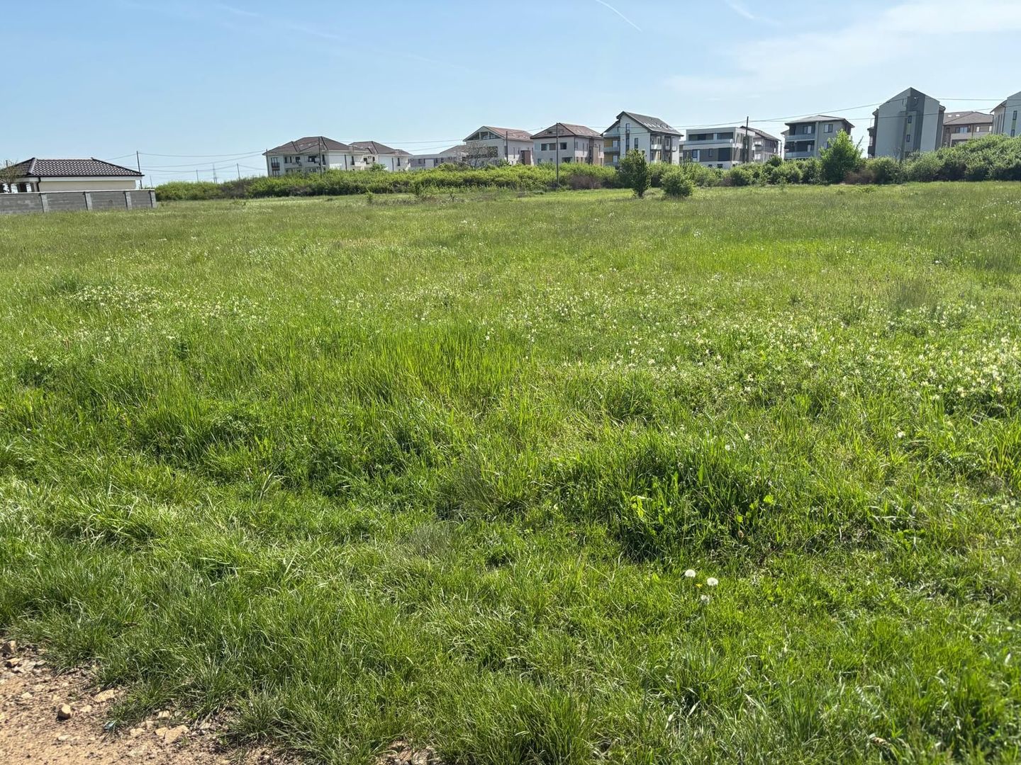 Teren 1239 mp front 29 in Aradul nou - Poză 4