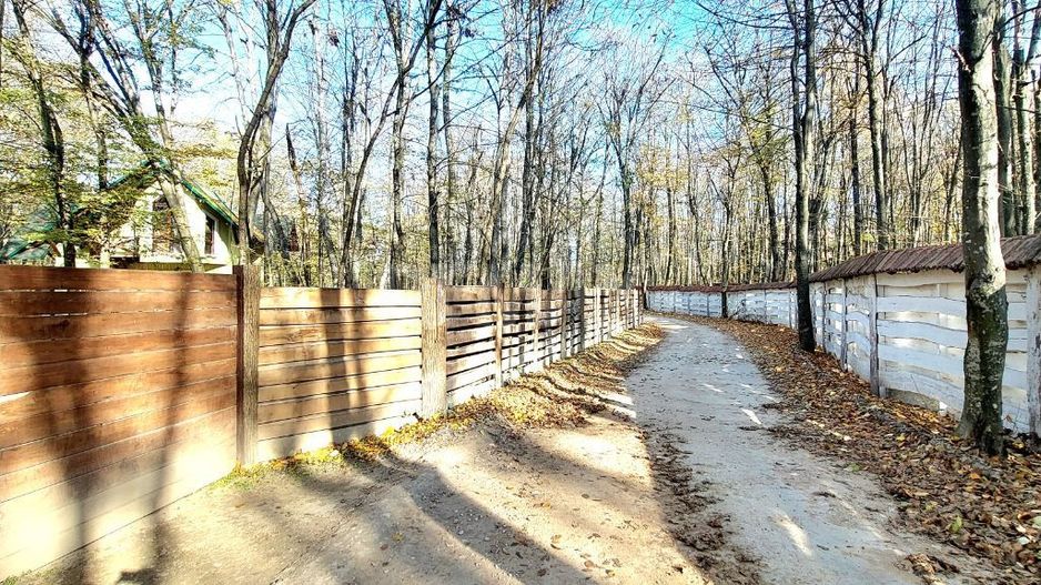 50 ari de Teren forestier si de recreere in Codri!! - Poză 4