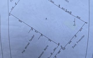 Teren Intravilan,5.000mp cu utilităti si proiect casă 12e mp - Poză 3
