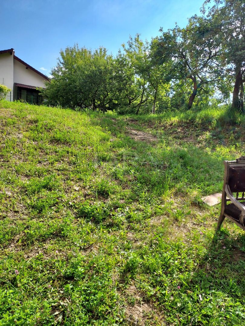 Teren de vis în Faget: Oportunitate unică pentru construirea casei tale ideale. - Poză 4