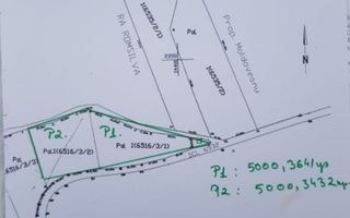 Teren forestier de 10.000 mp în zona Bucium, Iași – Oportunitate de investiție - Poză 1