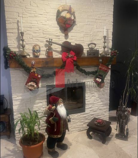 Vila individuala in Baneasa - Poză 2